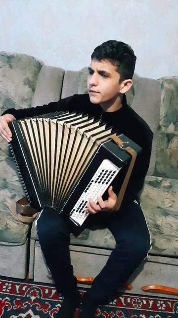 игра на гармошке.mp4 смотреть онлайн