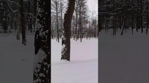 Зимний Петергоф