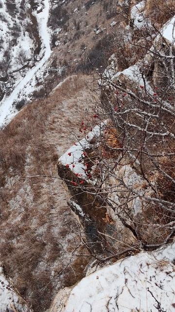 Французские бастионы - скальный сектор в Берёзовском ущелье 🏔 смотреть онлайн