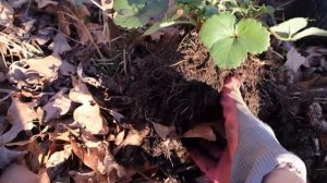 Финальныи Выпуск Сезона    Эгине