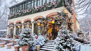 Париж под снегом 7.01.2026 + Версаль 4.01.2026