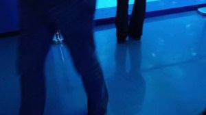 музей мирового океана самы верхний ярус