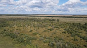 Памятник природы «Урочище Моховое (озеро Горелое)»