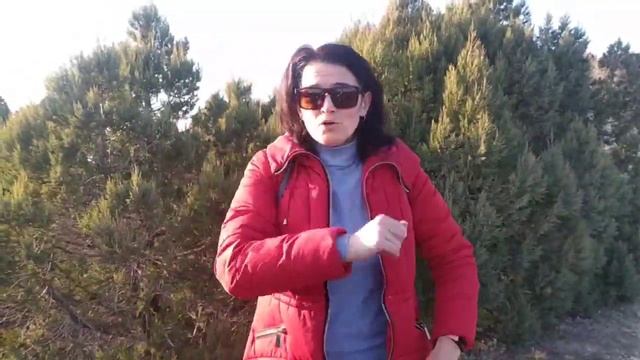 Саморегуляция эмоционального состояния