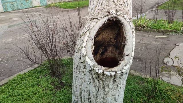 Один из дней города Евпатории | 3 февраля 2021 г | Крым | ХАН БАТОН XAH 6ATOH / VID_20210203_133307 смотреть онлайн