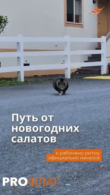 ✨ Идеи — уже крутятся в голове