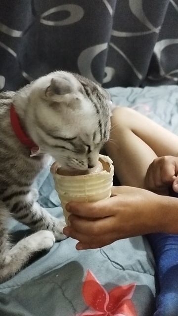 любитель мороженого 😋 смотреть онлайн