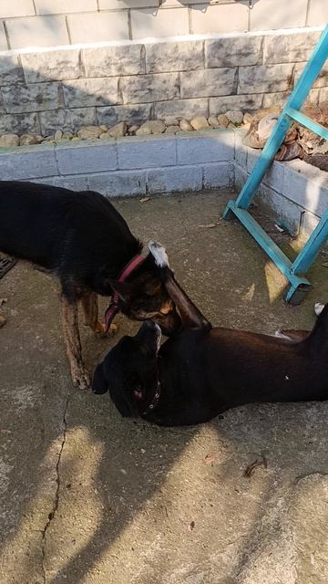 А мы друзья смотреть онлайн