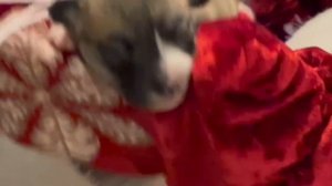 Старый Новый Год и подарочки от Деда Мороза!