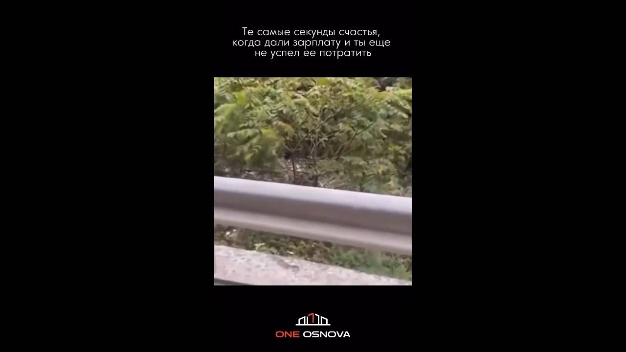 #смешныевидео -654 смотреть онлайн