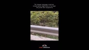 #смешныевидео -654