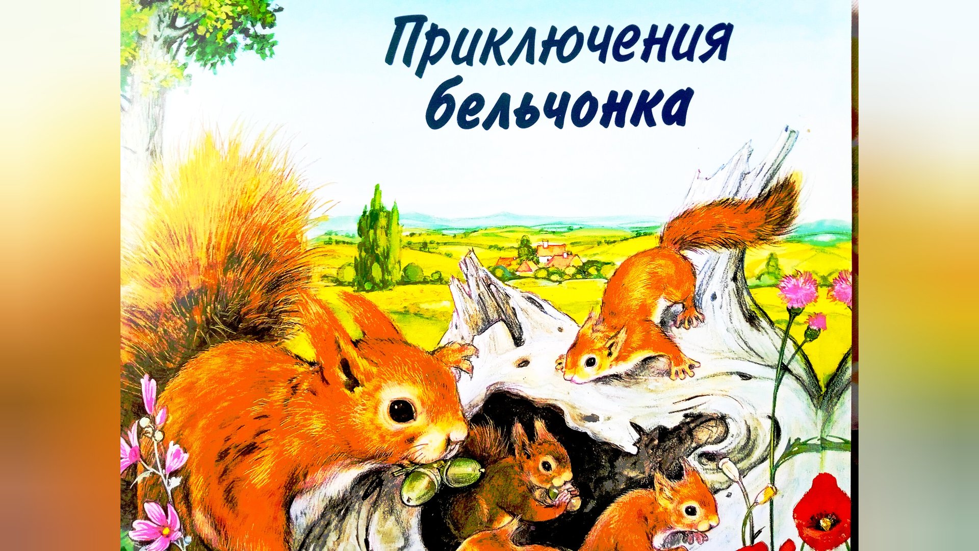 ПРИКЛЮЧЕНИЯ БЕЛЬЧОНКА.🌺🐿️/познаём мир вокруг нас/ ПОЗНАВАТЕЛЬНО.👍🎑🤗