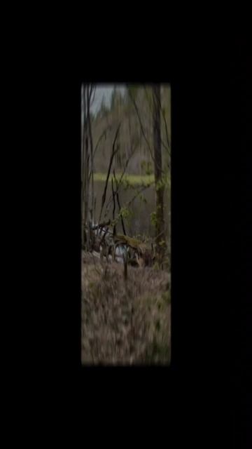 Архив 2020 г. Поход к дикому озеру (2)