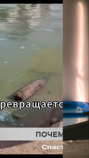 загрязнение Байкала