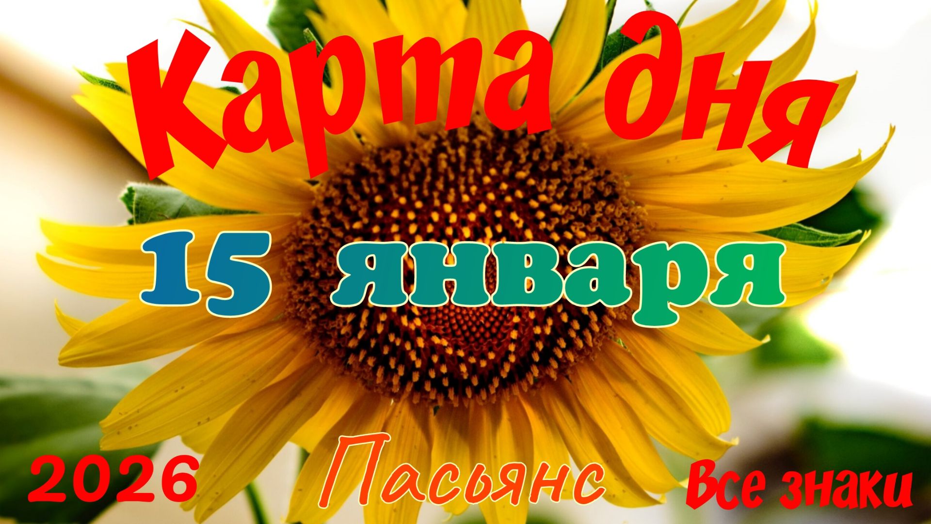 Карта дня❄15 января🎄☃️Пасьянс. Тайм-код в описании🦢 смотреть онлайн