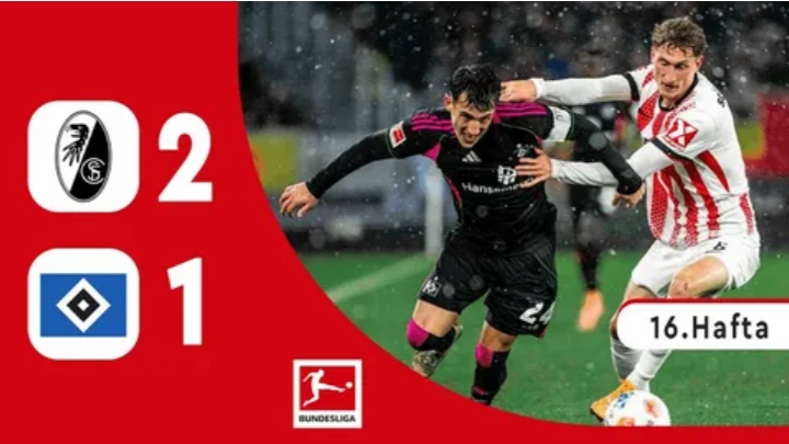 Бундеслига/Фрайбург-Гамбург