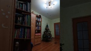 Stream впервые на рутубе