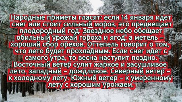 Народные приметы на 14 января 2026 года: что нельзя делать в Старый Новый год смотреть онлайн
