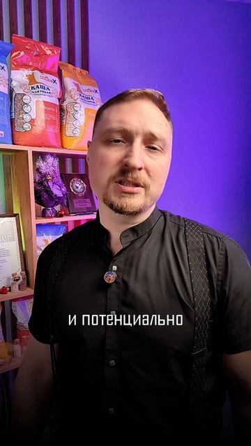 Новые законы для владельцев собак с 2026 - что изменится и за что будут штрафы #собаки #законы2026