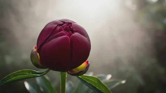 ✨ ХИТ: Matching Stars от Neyrod272 — когда твои звёзды находят созвездие. 🌌🎧