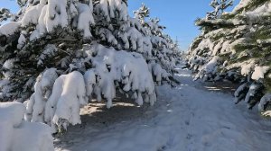 В Краснодаре зима есть! :)