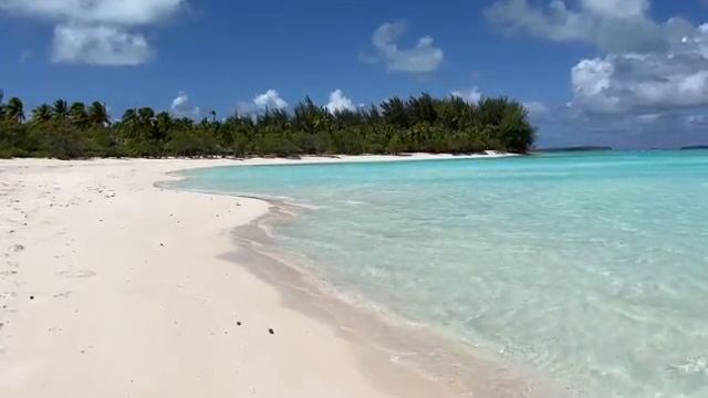 Полинезия. смотреть онлайн