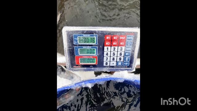 1000138606.mp4 смотреть онлайн