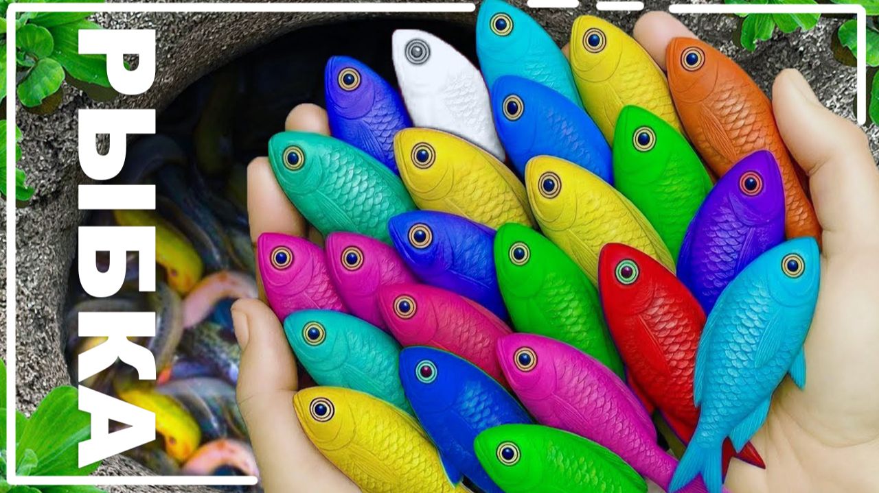 Мультики для детей и малышей про морских обитателей. Ловим и рассматриваем жителей водоема смотреть онлайн