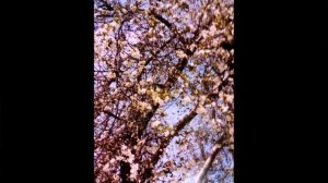 Библия и жизнь. Моя аудиокнига. Часть № 123