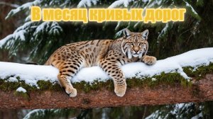 В месяц кривых дорог