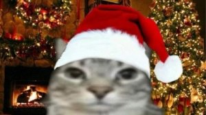 Играем в стим игры(☆*: .｡. o(≧▽≦)o .｡.:*☆ у меня скоро будет галочка!!!!!   )