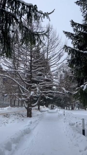 Лениногорск, проспект Ленина смотреть онлайн