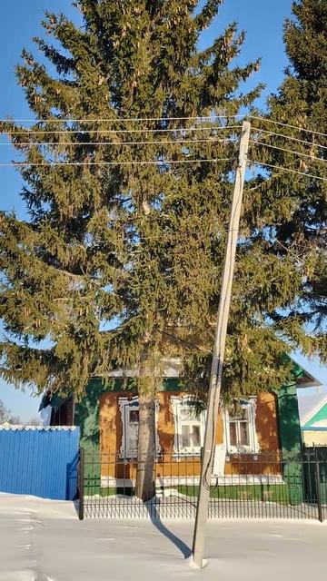 Зима в деревне Тябердино-Челны