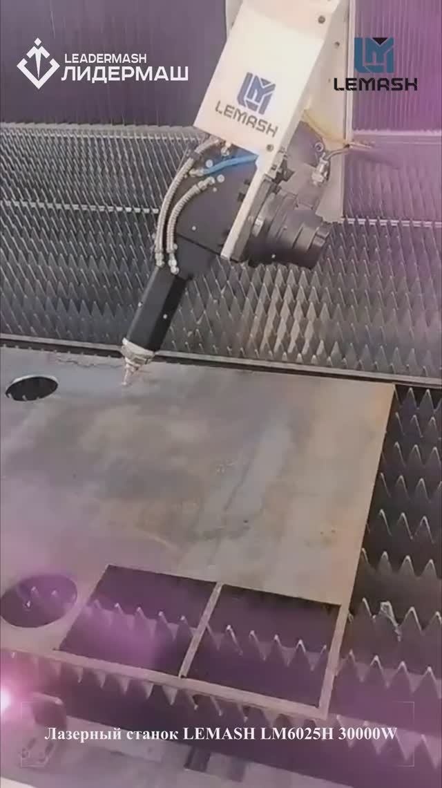 Комплекс лазерной резки LEMASH LM6025H 30000W с поворотной головой смотреть онлайн