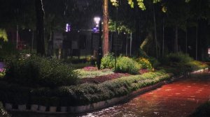 Дождливый парк 🌧️ звуки сильного дождя для глубокого сна и расслабления от бессонницы