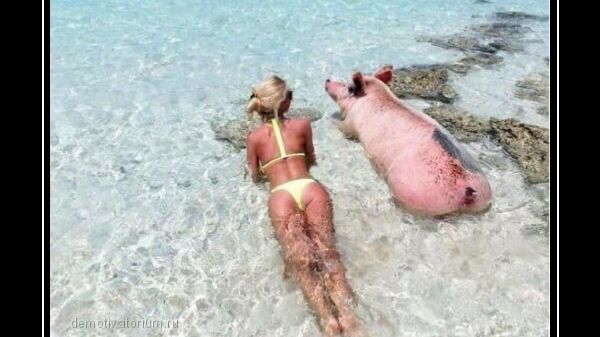 Мастера фейлов 2026! Видео, которое взорвет ваш день!