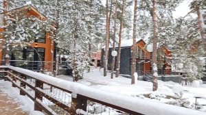 Домики в сосновом бору