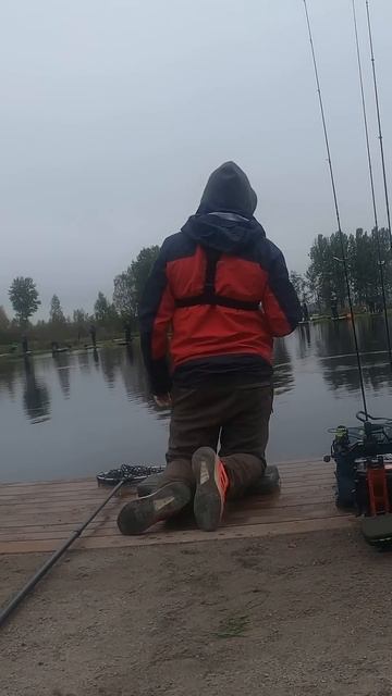 Ускоренная форелевая рыбалка #fishing #рыбалка #fishing #trout #fishingvideo  #troutlurefishing