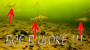 ЗИМНЯЯ РЫБАЛКА С ПОДВОДНОЙ КАМЕРОЙ. Реакция рыбы на МОРМЫШКУ в глухозимье. Подводная съемка.