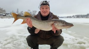 Вываживание огромной Щуки на жерлицу 💪 Мой рекорд
