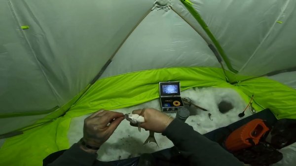 Рыбалка на реке. Рыба озверела, руки таскать устали.