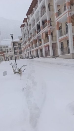 ЖК Кипарис Сукко 13 января 2026 года