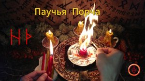 Снимаем Паучью Порчу