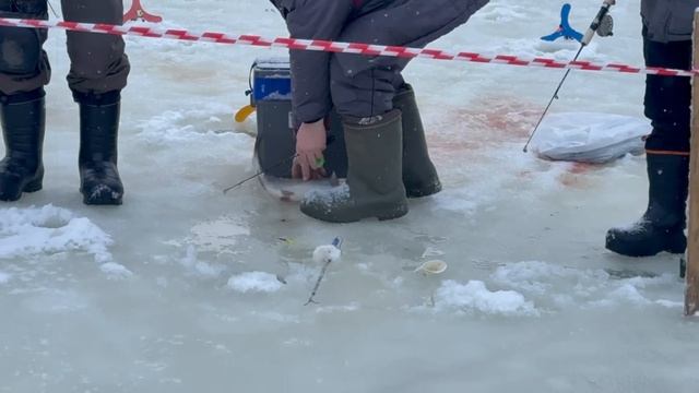 1000138612.mp4 смотреть онлайн