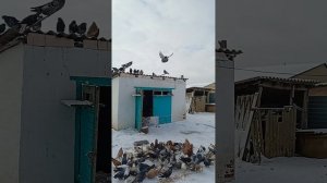 89895013708, Андрей