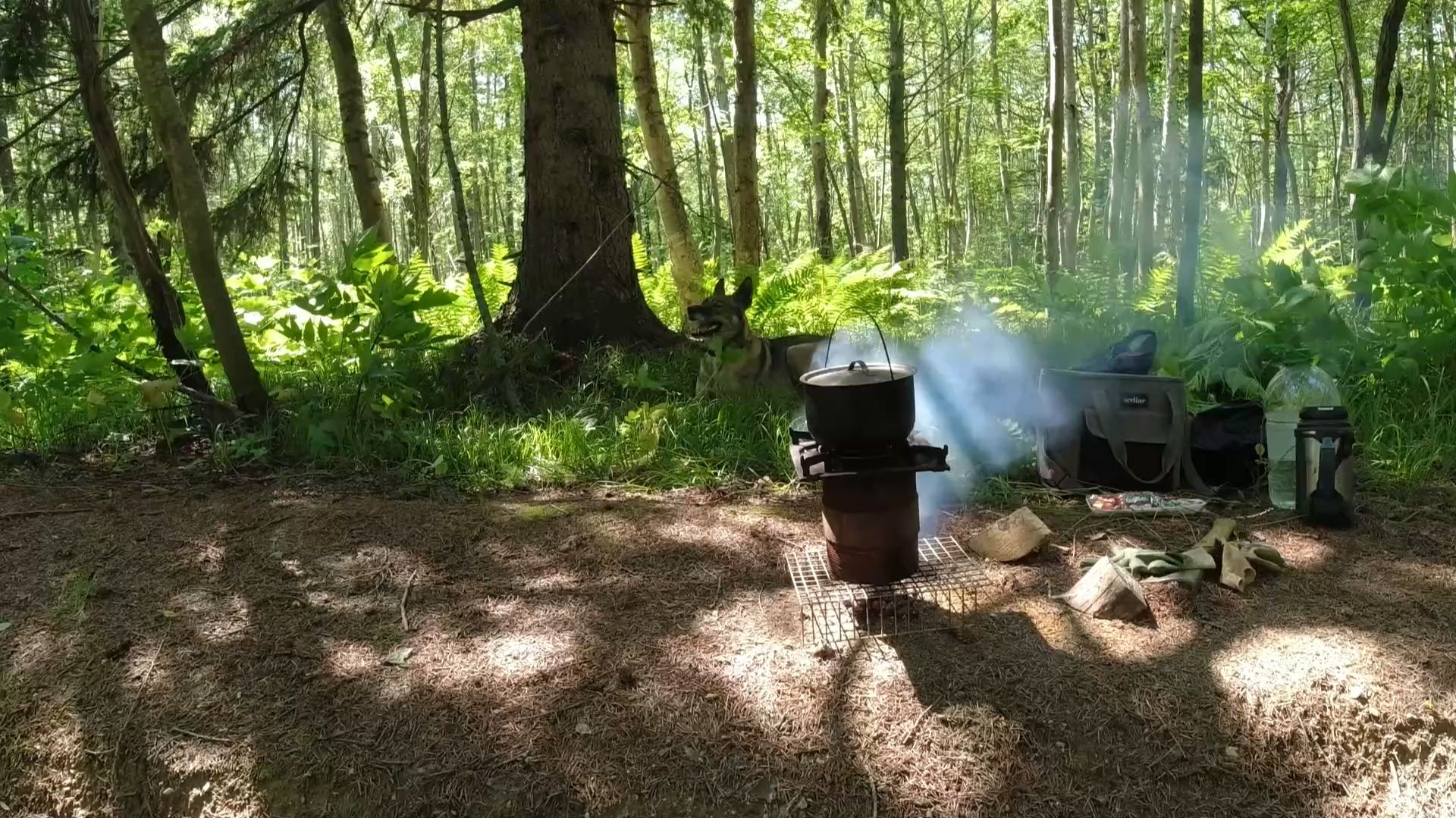 Металл на тяжёлой лесной дороге смотреть онлайн