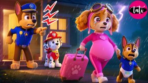 Щенячий патруль и Маршалл. Залипательное видео. Мультфильм для детей и малышей. Анимация 71