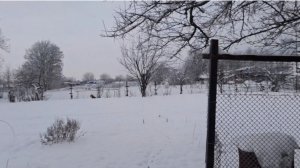 994 Чуть богу душу вчера не отдала! Морозы пришли на юг.