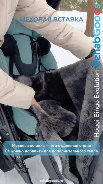 Зимние опции для Hoggi Bingo Evolutiom смотреть онлайн