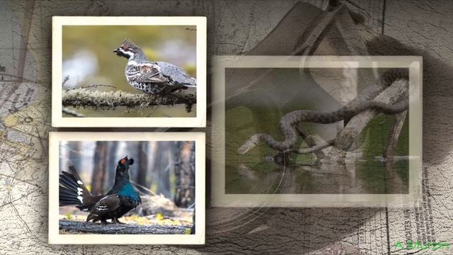 Юрий Бунтов - в потоке ветра смотреть онлайн